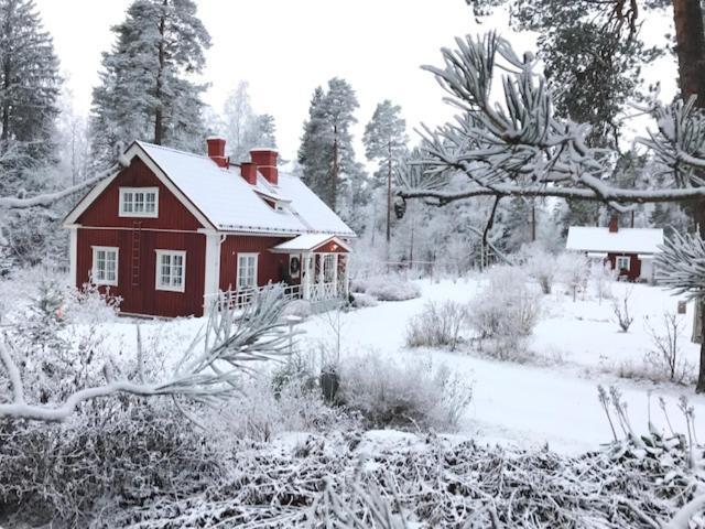Villa Tammikko Tuusula Zewnętrze zdjęcie