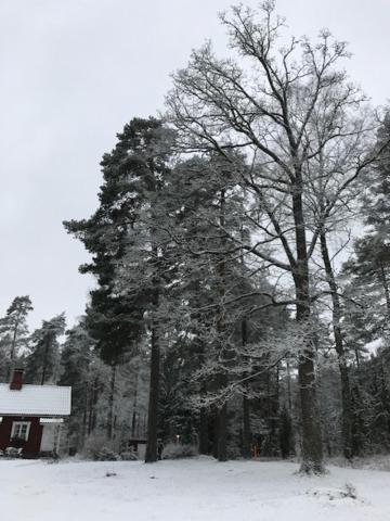 Villa Tammikko Tuusula Zewnętrze zdjęcie